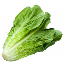 Lettuce